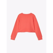 NAME IT Cropped Sweatshirt Tinturn Rose